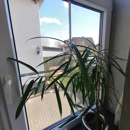 Διαμέρισμα Hehlentor Fachwerkwohnung Τσέλε